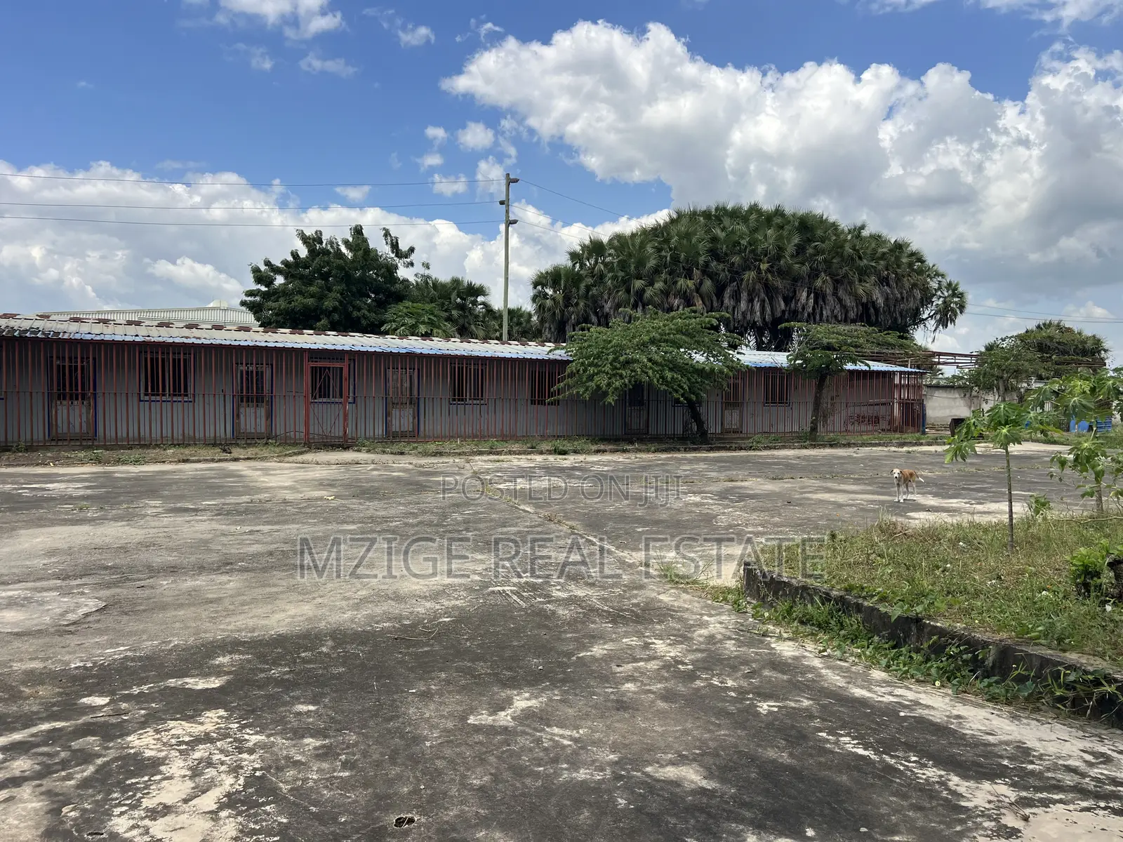 Prime Steel Manufacturing Plant for Sale – Zinga, Bagamoyo!