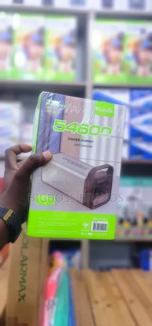 Punda Super Fast Charging Power Bank 54600 mAh Inawasha Fan,TV