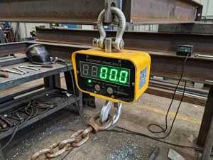 Electronic Crane Scale 2ton