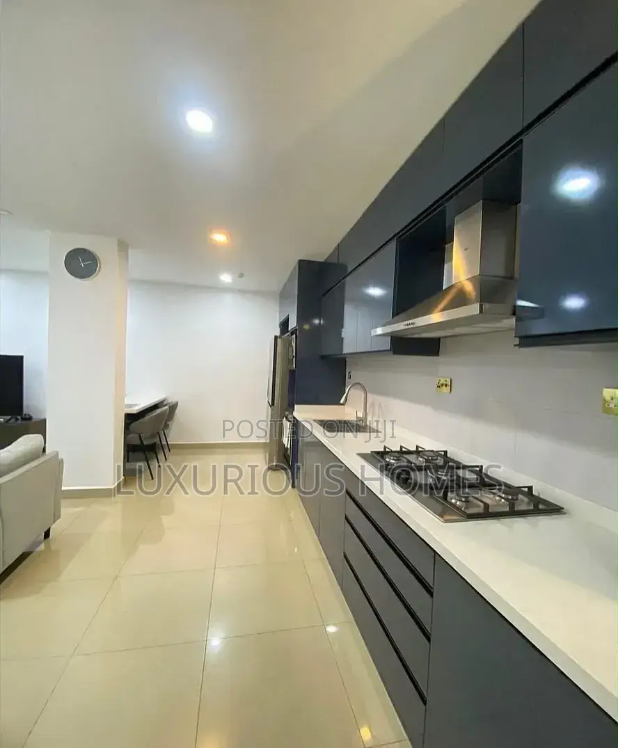 Furnished 2bdrm Apartment in Upanga for rent