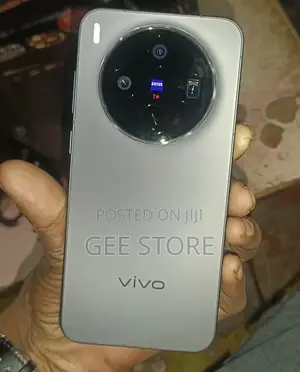 Vivo X300 256 GB Gray