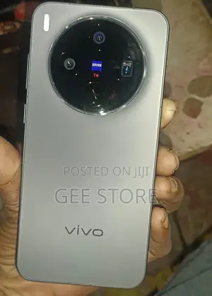 Vivo X300 256 GB Gray