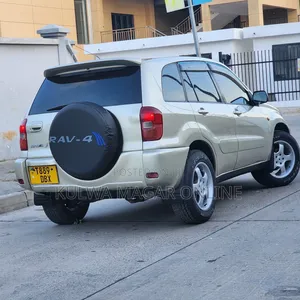Toyota RAV4 2002 Silver