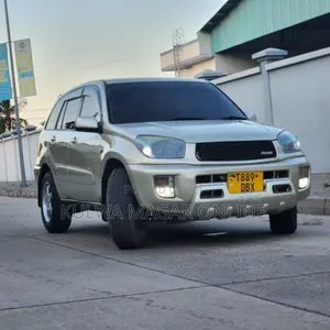 Toyota RAV4 2002 Silver