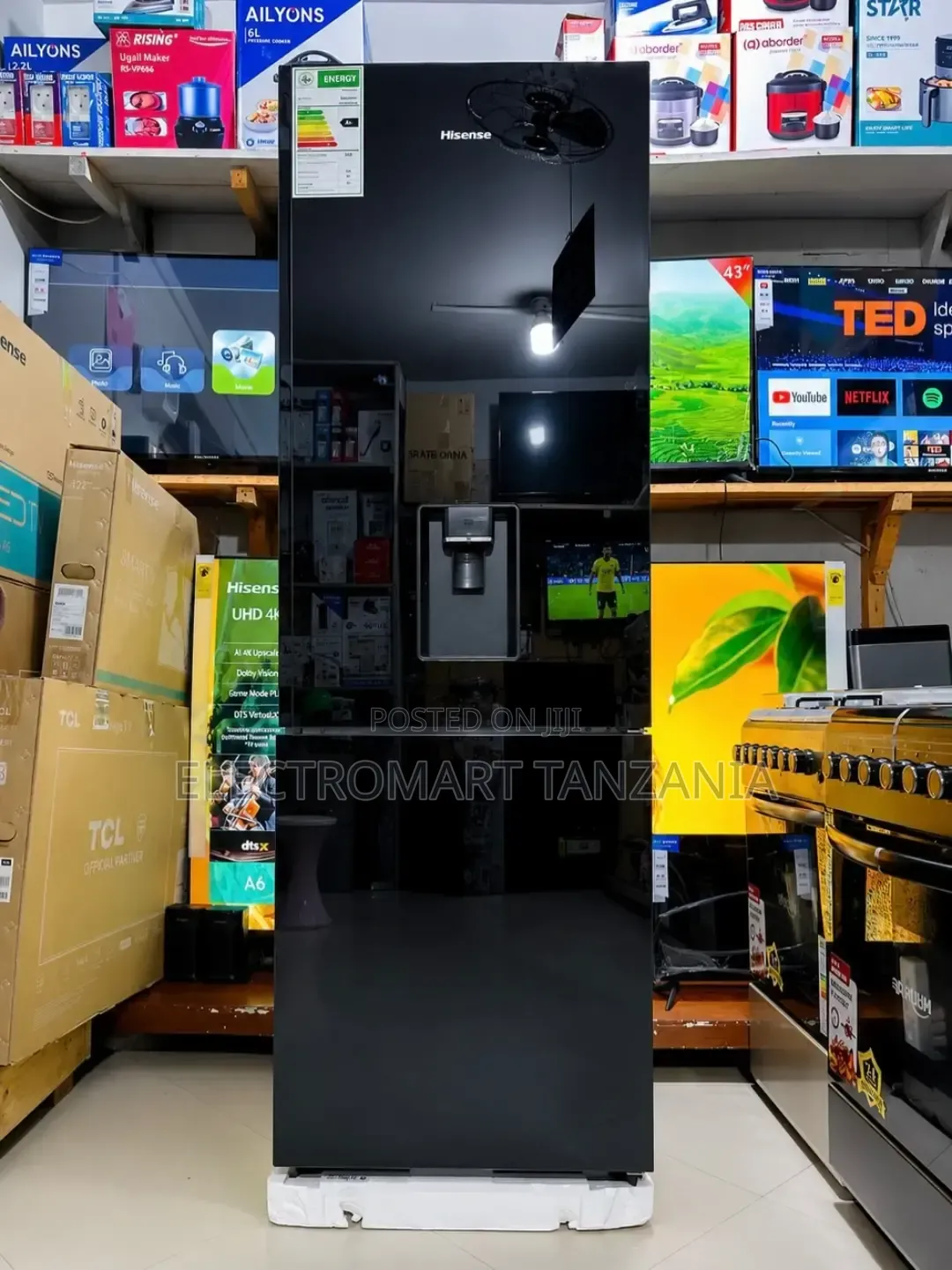 Hisense H370bmib-Wd 269L Fridge | Black Glass | Brand New