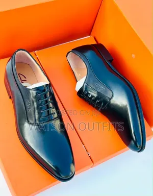 Men's Leather Shoes 2 Colours Shiny Skin Clarks Brand