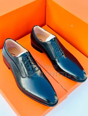 Men's Leather Shoes 2 Colours Shiny Skin Clarks Brand