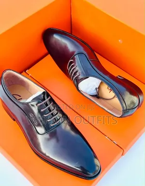 Men's Leather Shoes 2 Colours Shiny Skin Clarks Brand