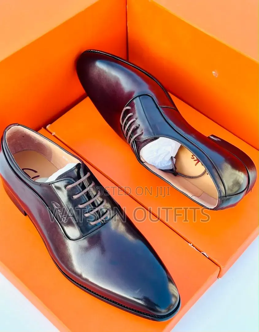 Men's Leather Shoes 2 Colours Shiny Skin Clarks Brand