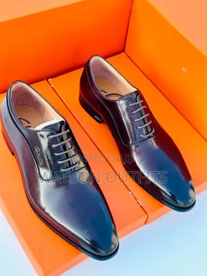 Men's Leather Shoes 2 Colours Shiny Skin Clarks Brand