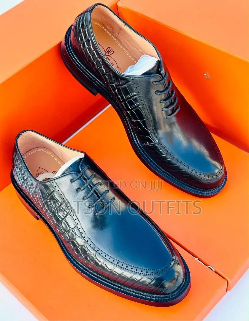 Men's Leather Shoes 2 Colours Shiny Skin Clarks Brand
