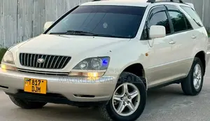 Toyota Harrier 2007 Gold