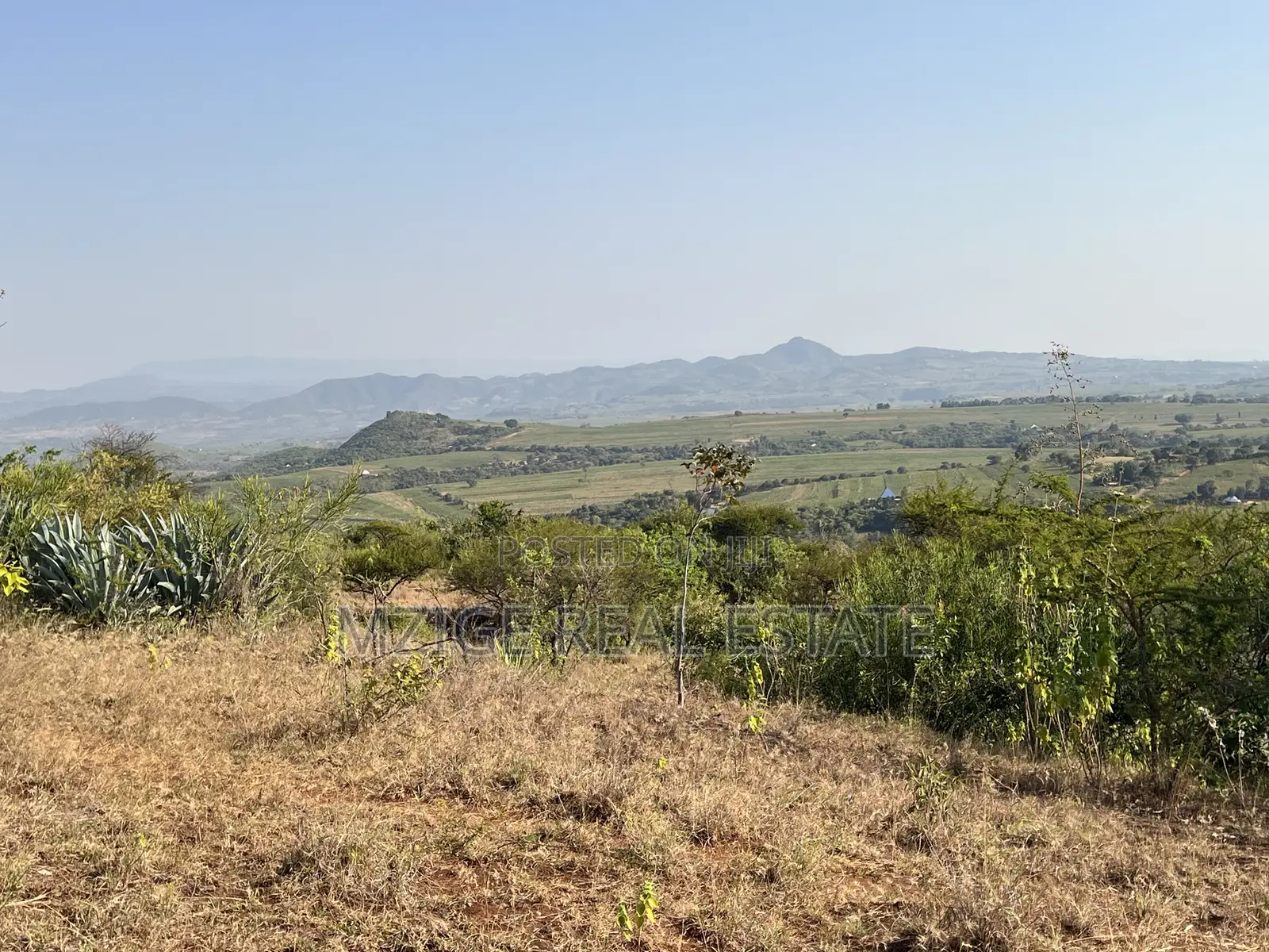 Prime 11-Acre Land With Stunning Forest Views 4 Sale in Rhotia, Karatu