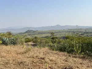 Prime 11-Acre Land With Stunning Forest Views 4 Sale in Rhotia, Karatu