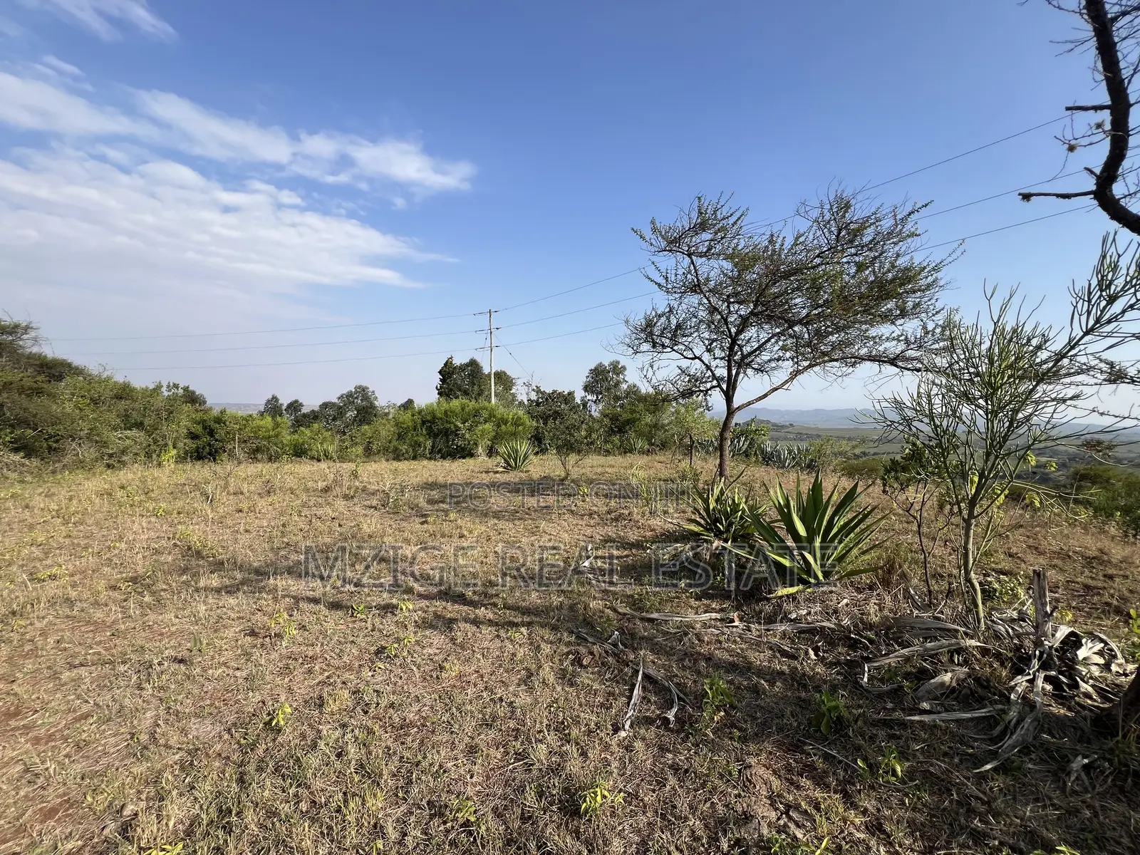 Prime 11-Acre Land With Stunning Forest Views 4 Sale in Rhotia, Karatu