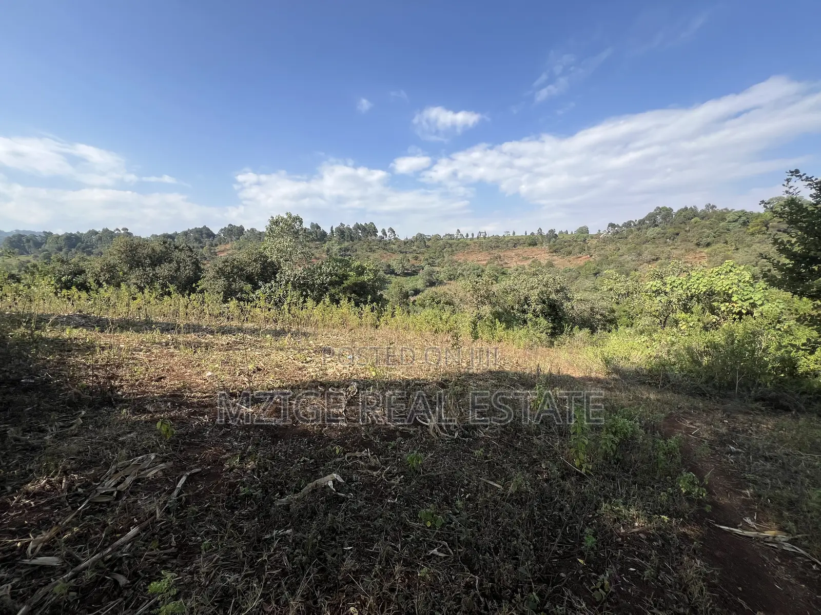 Prime 11-Acre Land With Stunning Forest Views 4 Sale in Rhotia, Karatu