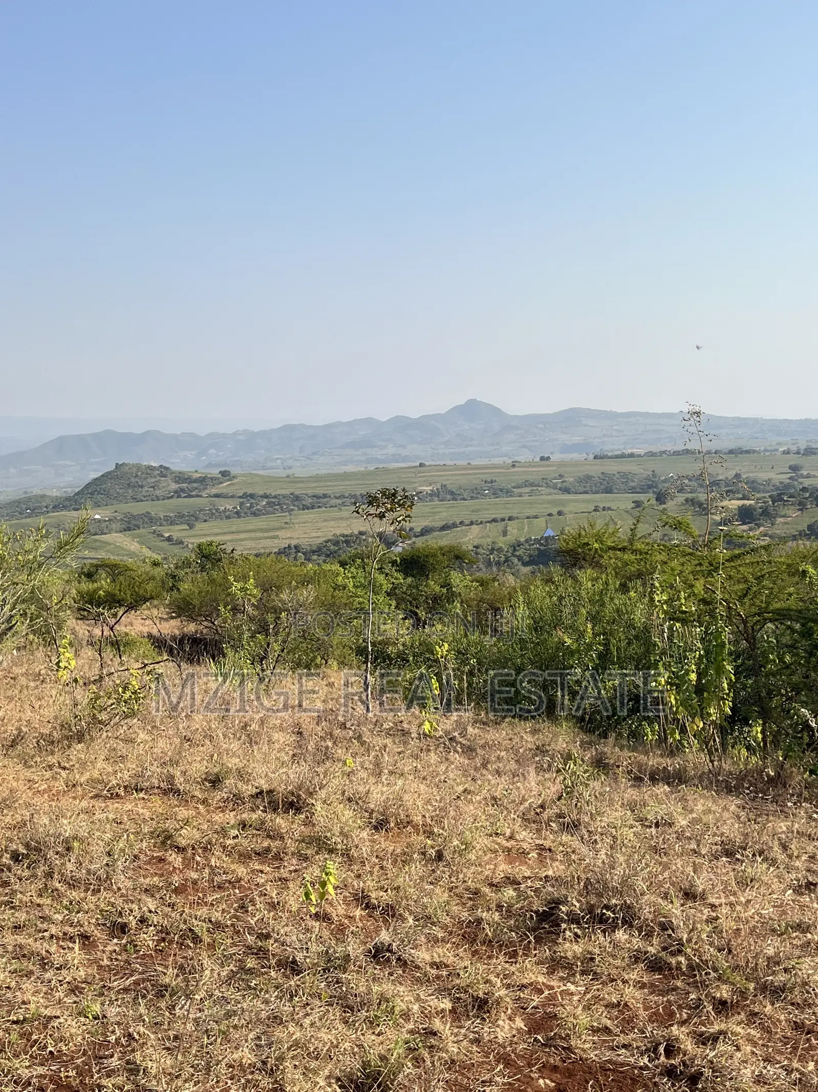 Prime 11-Acre Land With Stunning Forest Views 4 Sale in Rhotia, Karatu