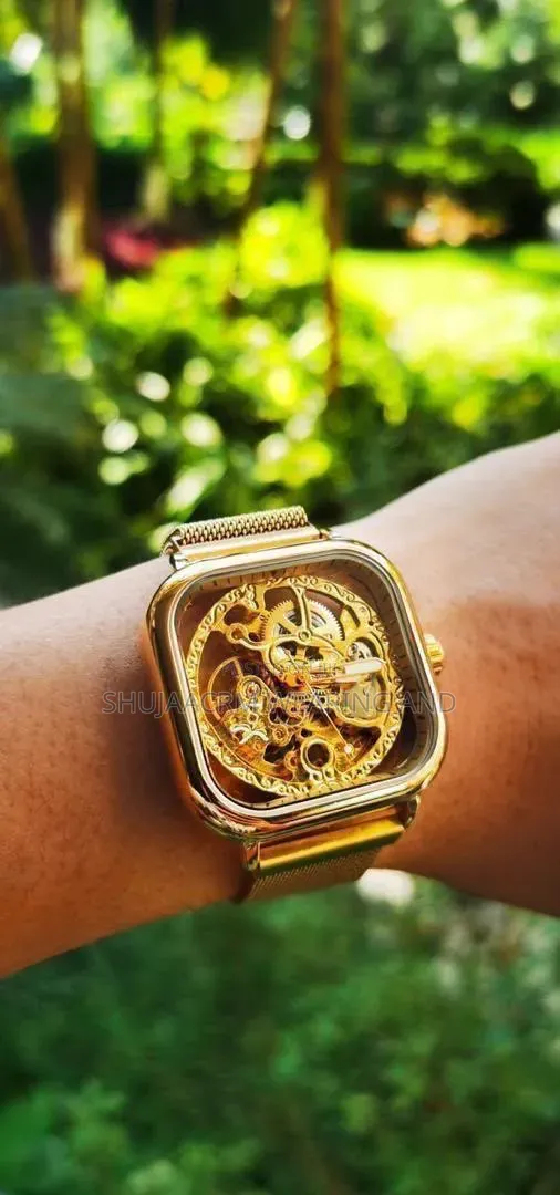 Forsining Watches | Saa Za Kiume