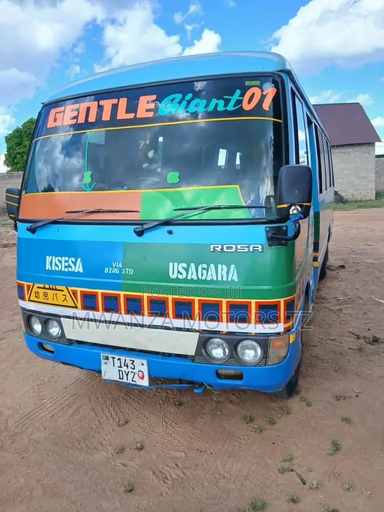 Mitsubishi Fuso Rosa 2008 Blue