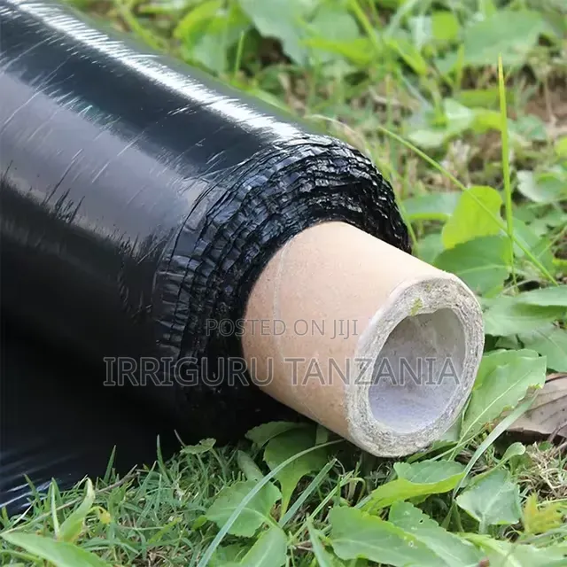 Silver Black Mulch