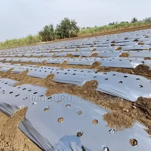 HDPE Mulch Film