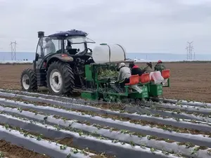 Vegetable Mulch Film