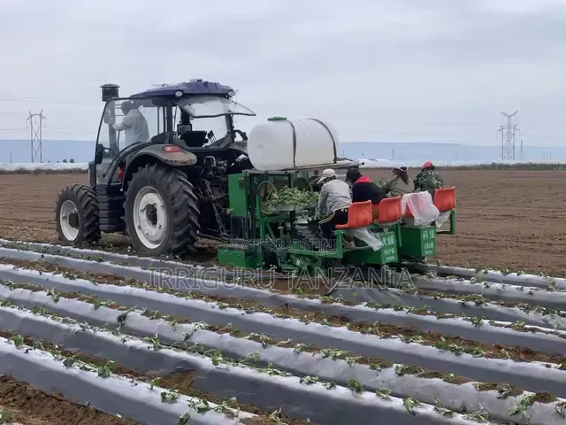 Vegetable Mulch Film