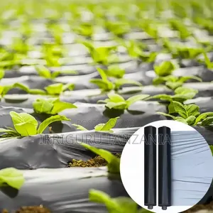 Pepper Mulch Film