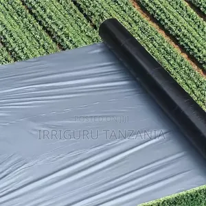 Broccoli Mulch Film
