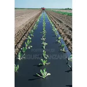 Spinach Mulch Film