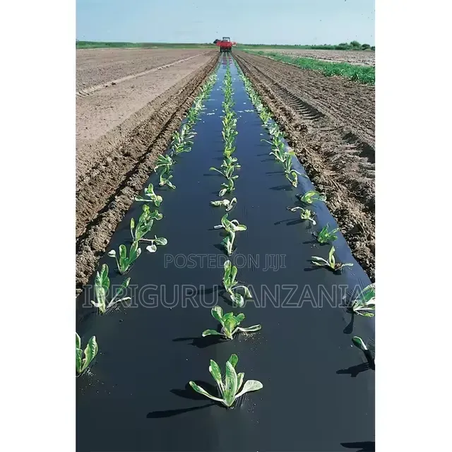 Spinach Mulch Film