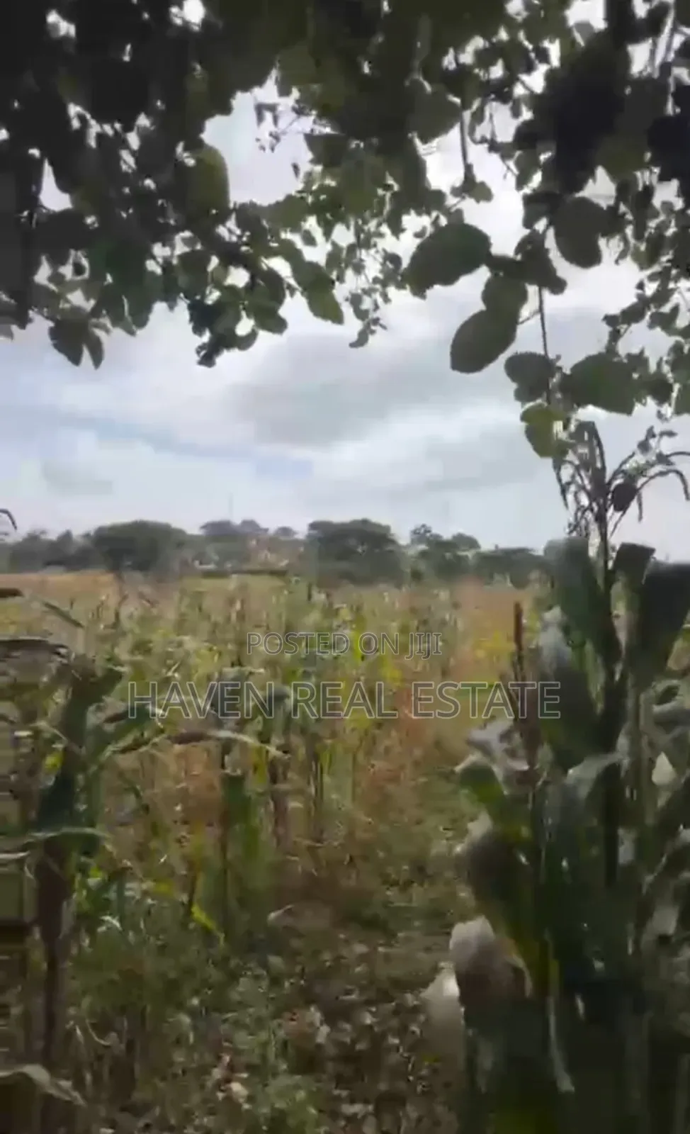 1acre Plot for Sale at Burka Arusha