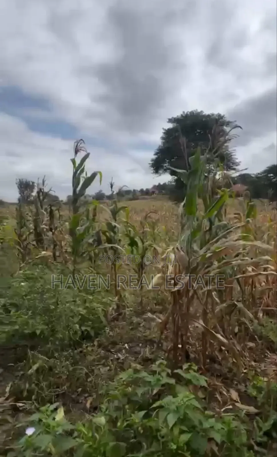 1acre Plot for Sale at Burka Arusha