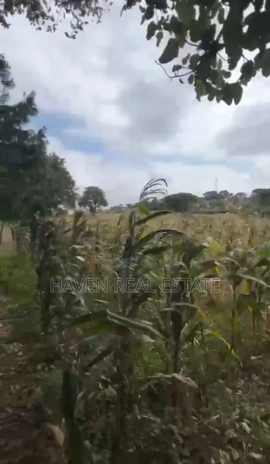 1acre Plot for Sale at Burka Arusha