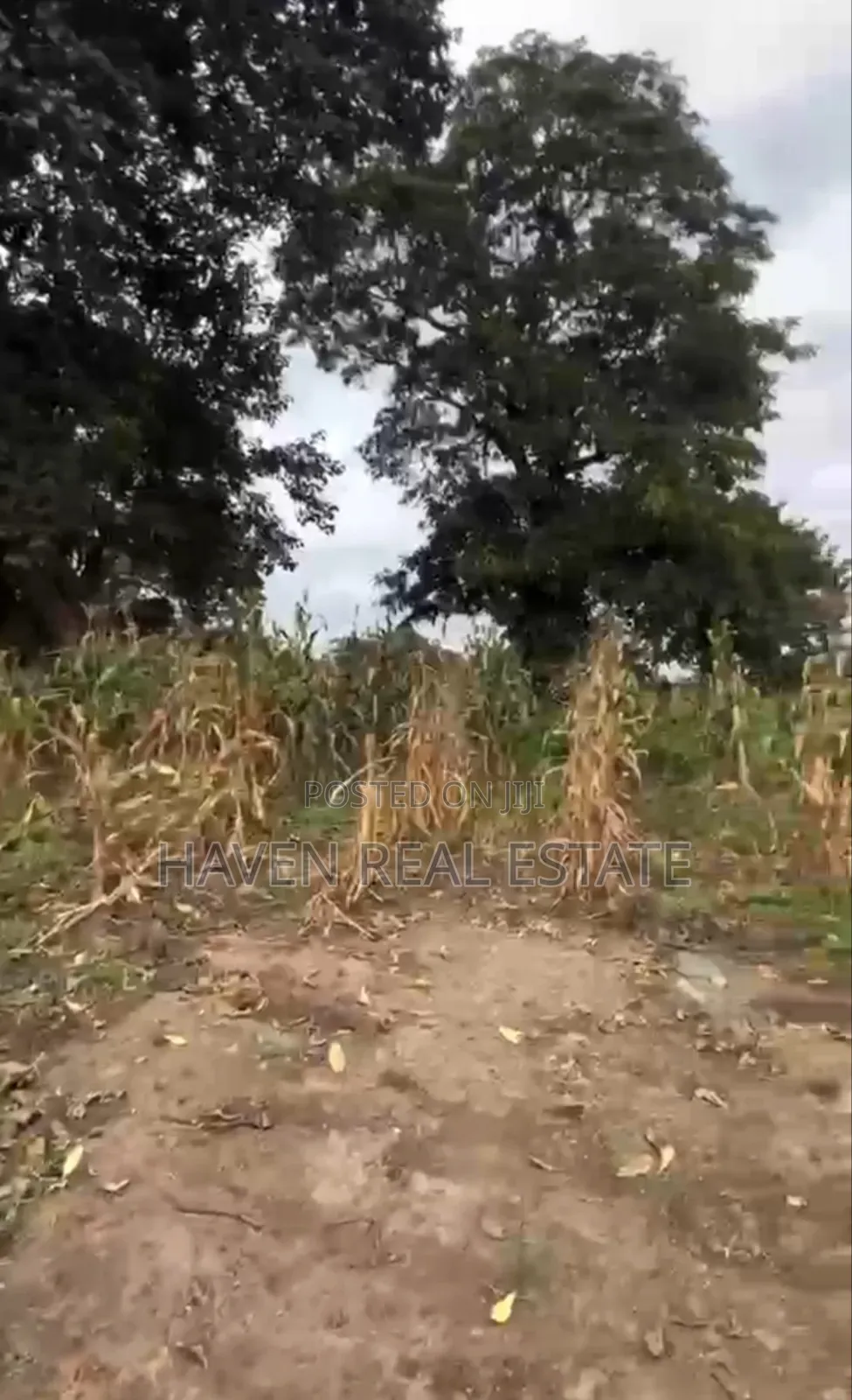 1acre Plot for Sale at Burka Arusha