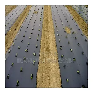 Flower Bed Mulch Film