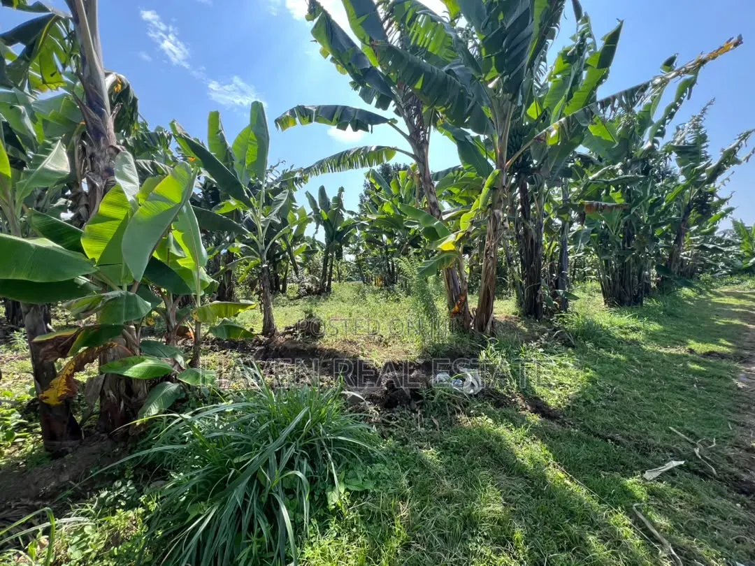 3.8 Acres Commercial Plot for Sale at Arusha