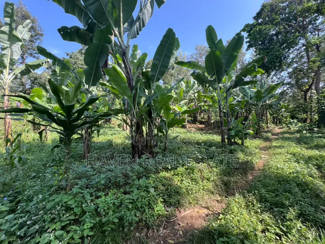 3.8 Acres Commercial Plot for Sale at Arusha