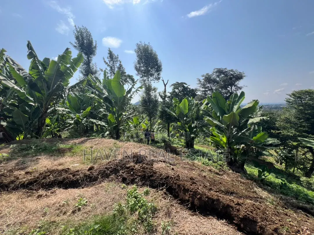3.8 Acres Commercial Plot for Sale at Arusha