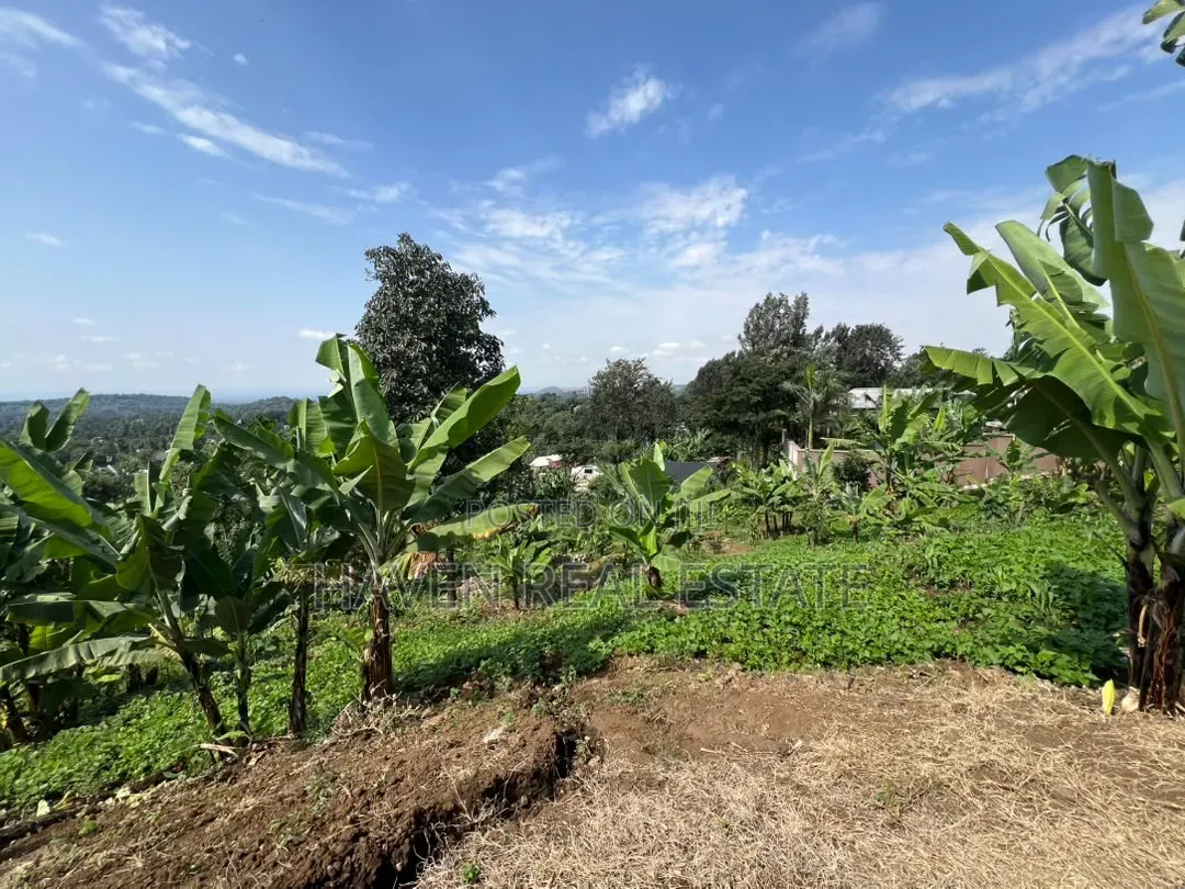 3.8 Acres Commercial Plot for Sale at Arusha