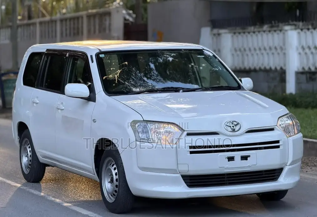 Toyota Probox 2015 White