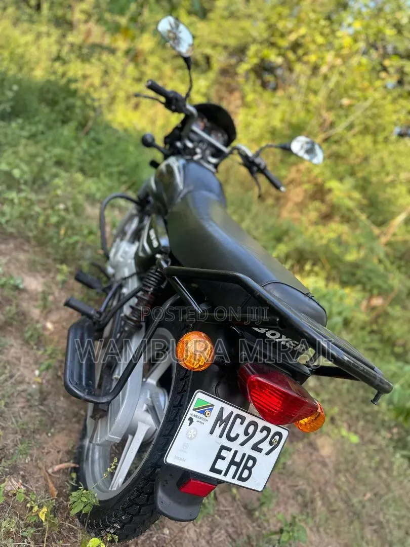 New Bajaj Boxer 125 2025 Purple