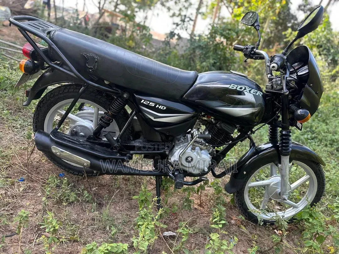 New Bajaj Boxer 125 2025 Purple