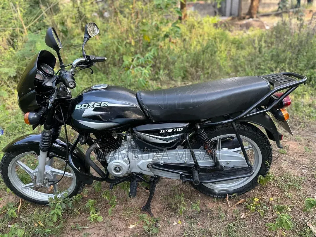 New Bajaj Boxer 125 2025 Purple