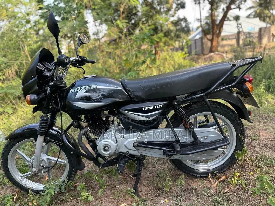 New Bajaj Boxer 125 2025 Purple