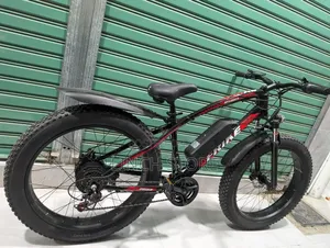 Electric Bicycle