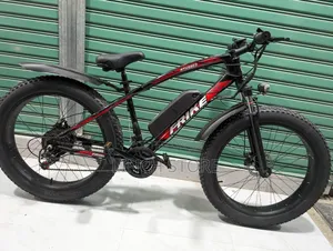 Electric Bicycle
