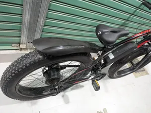 Electric Bicycle