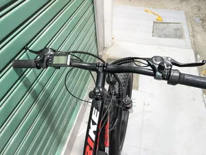 Electric Bicycle