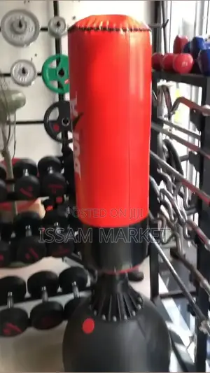 Punching and Kicking Bag